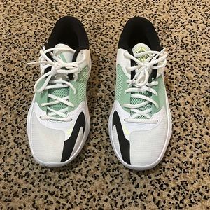 Nike Basketball court shoes by Giannis Antetokounmpo